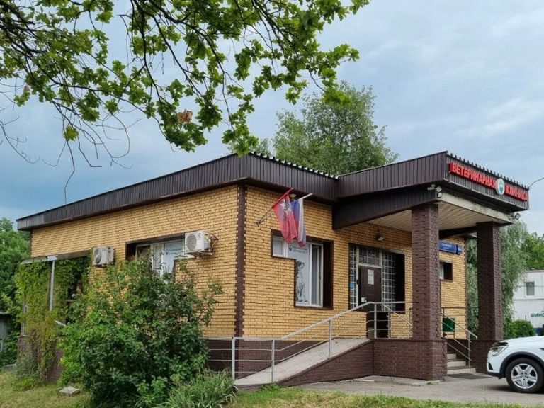 О клинике — Круглосуточная ветеринарная клиника Фауна